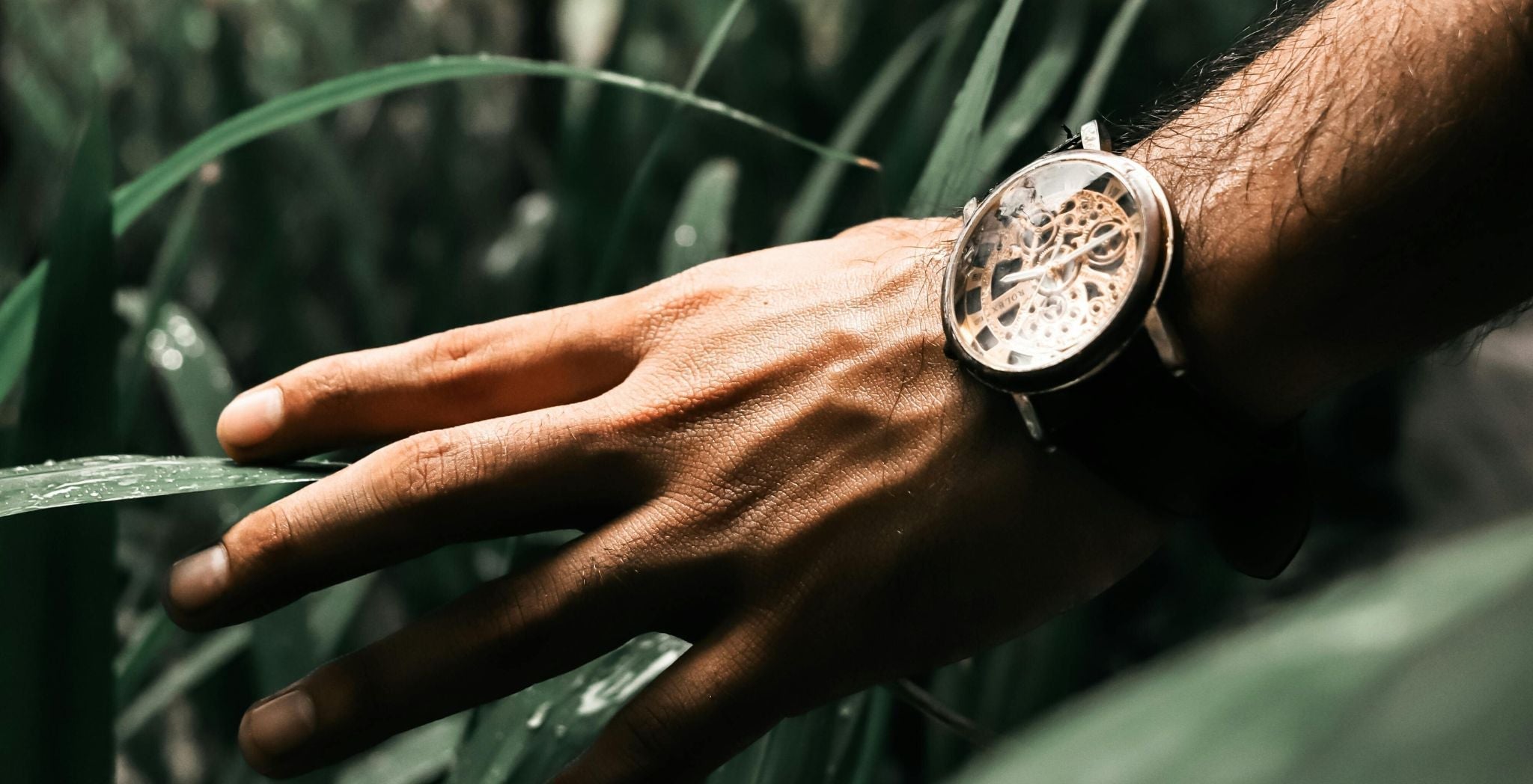Luxury Skeleton Watches