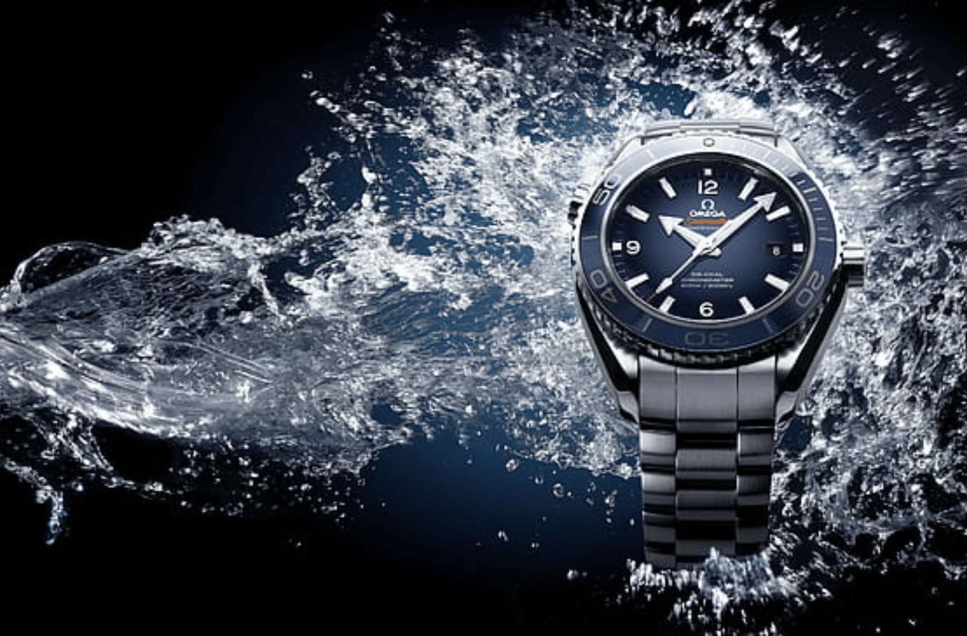 Best Dive Watches Under 2000 Watch Reviews
