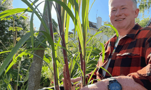 Celebrity gardener, Toby Buckland - trials a Smartwatch