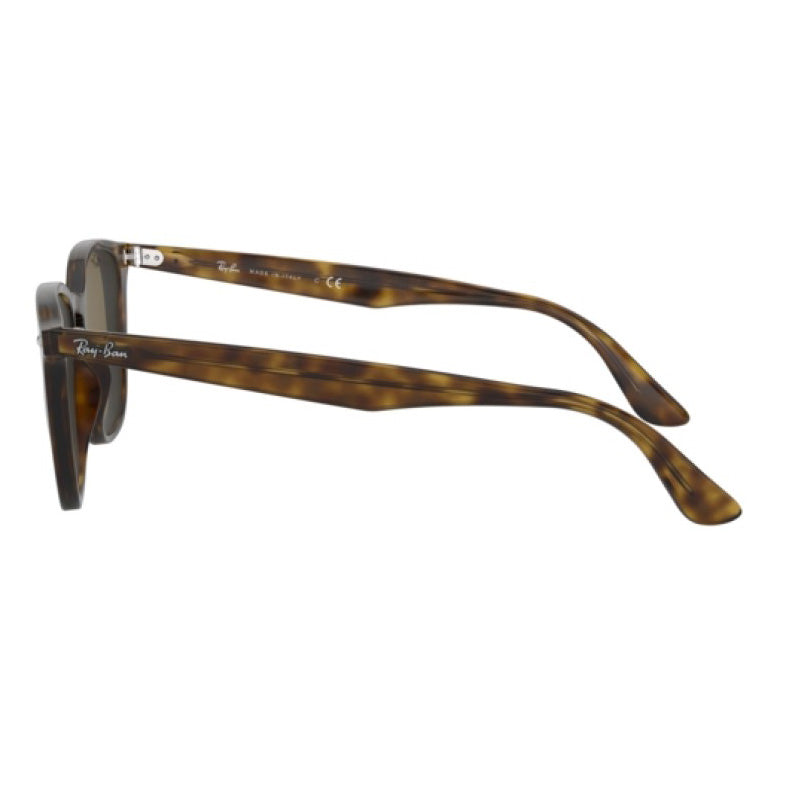 Ray-Ban RB4258F Havana Brown Square Sunglasses