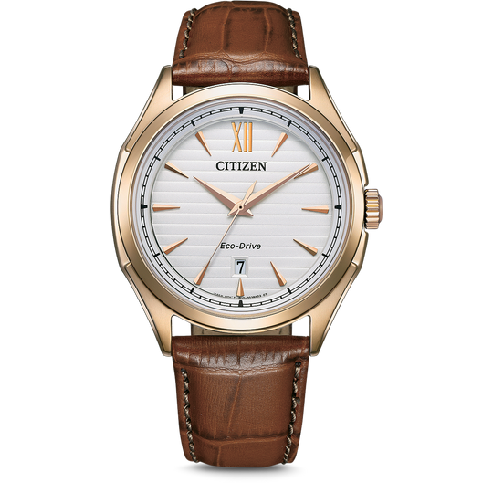 Citizen Eco-Drive Men's Watch AW1753-10A