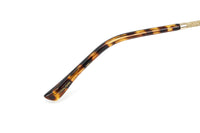 Jimmy Choo Women's Sunglasses Oversized Round Gold/Brown CORAL/G/SK 06J