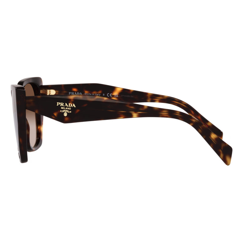 Prada PR19ZS Oversized Square Sunglasses Tortoise Shell