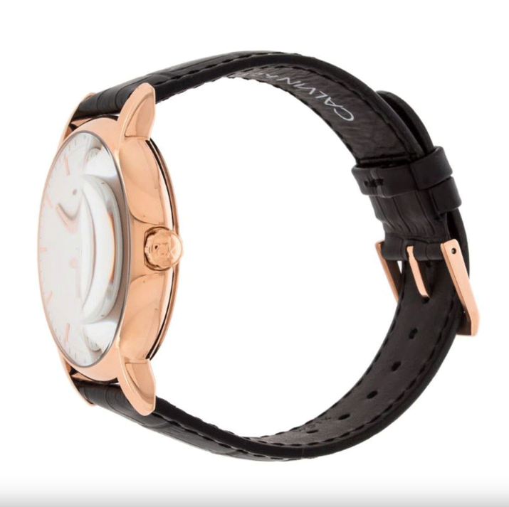 Calvin Klein Watch Established Rose Gold K9H216C6