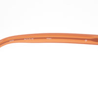 Y/Project x Linda Farrow Unisex Brown Sunglasses YP6C3SUN