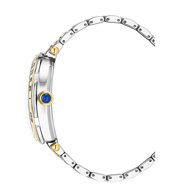 Aigner Trapani Men's Two-Tone Silver Yellow Gold Stainless Steel Watch AGW.262003