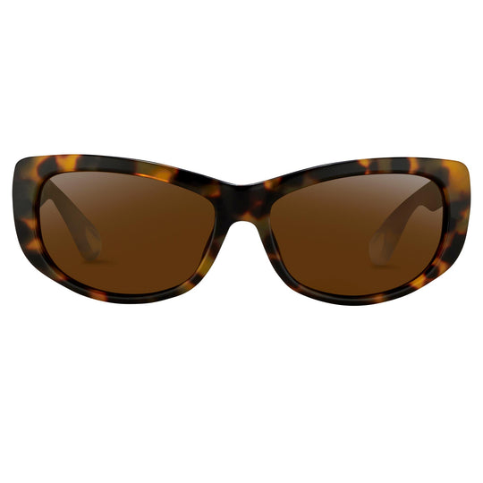 Ann Demeulemeester Ladies Sunglasses Cat Eye Tortoise Shell and Brown AD29C2SUN
