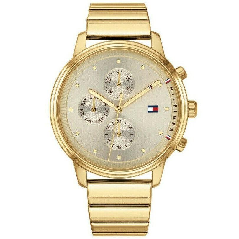 Tommy Hilfiger 1781905 Ladies Gold Chronograph Watch from WatchPilot