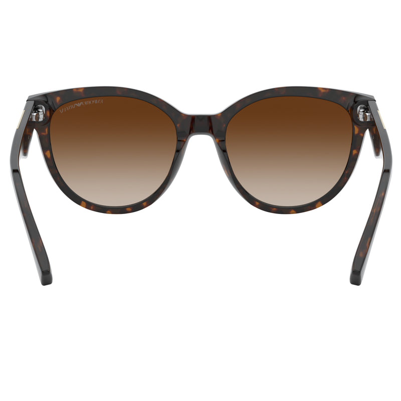 Sunglasses - Emporio Armani 0EA4140 508913 55 (AR20) Men's Havana Sunglasses
