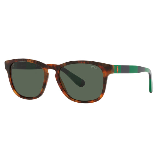 Polo Ralph Lauren 0PH4170 501771 53 (POL08)  Men's Shiny Jerry Tortoise Sunglasses