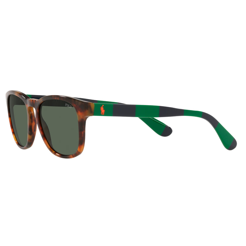 Sunglasses - Polo Ralph Lauren 0PH4170 501771 53 (POL08)  Men's Shiny Jerry Tortoise Sunglasses