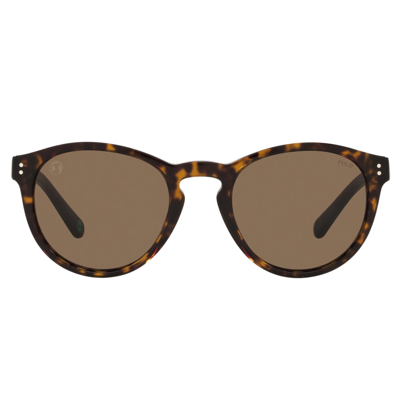 Sunglasses - Polo Ralph Lauren 0PH4172 595473 50 (POL03) Men's Dark Havana Sunglasses