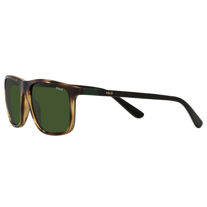 Ralph lauren havana sunglasses cheap
