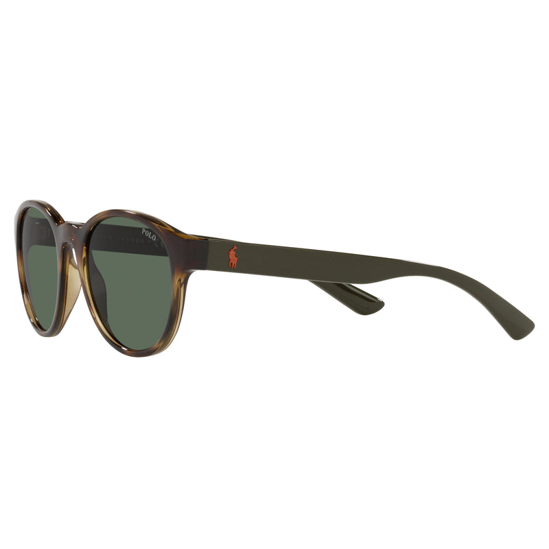 Sunglasses - Polo Ralph Lauren 0PH4176 500371 51 (POL20) Men's Shiny Havana Sunglasses