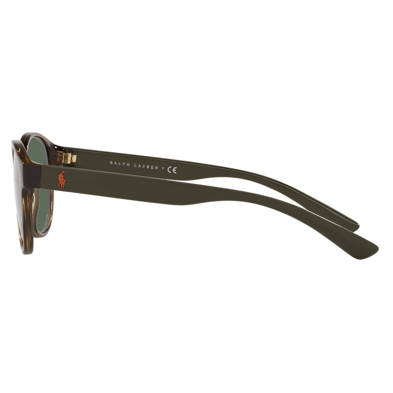 Sunglasses - Polo Ralph Lauren 0PH4176 500371 51 (POL20) Men's Shiny Havana Sunglasses