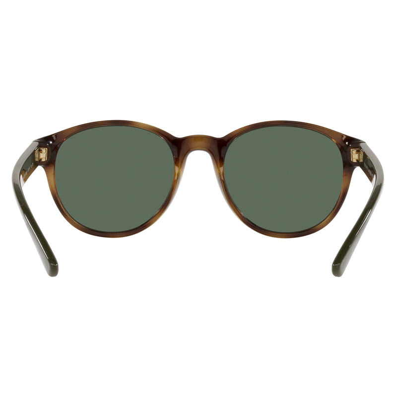 Sunglasses - Polo Ralph Lauren 0PH4176 500371 51 (POL20) Men's Shiny Havana Sunglasses