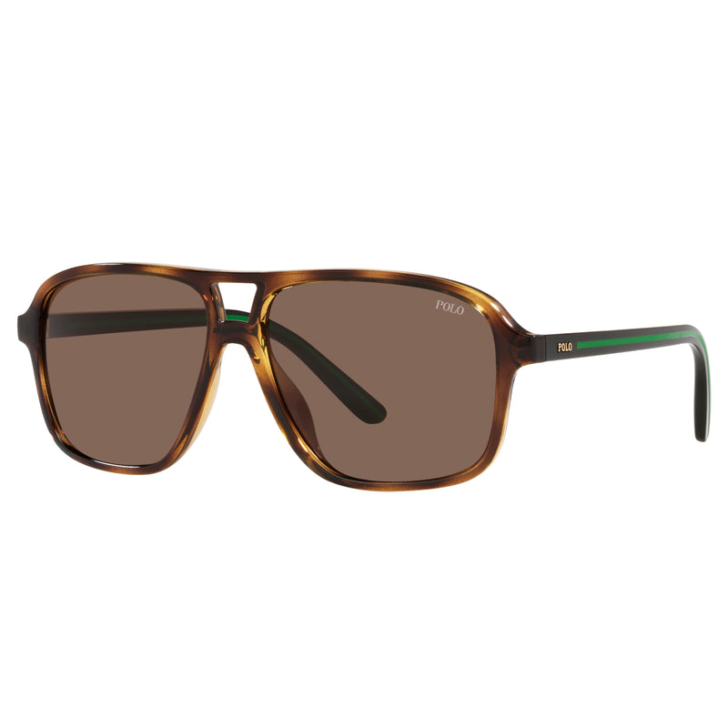 Sunglasses - Polo Ralph Lauren 0PH4177U 500373 58 (POL07) Men's Shiny Havana Sunglasses