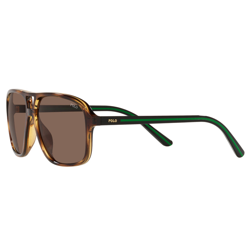Sunglasses - Polo Ralph Lauren 0PH4177U 500373 58 (POL07) Men's Shiny Havana Sunglasses