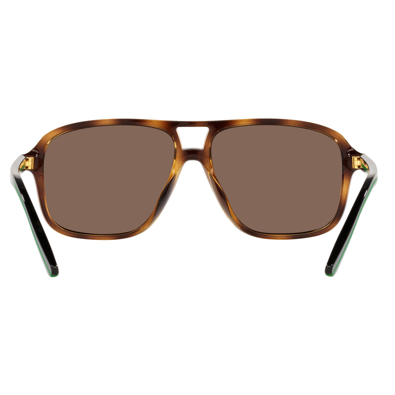 Sunglasses - Polo Ralph Lauren 0PH4177U 500373 58 (POL07) Men's Shiny Havana Sunglasses