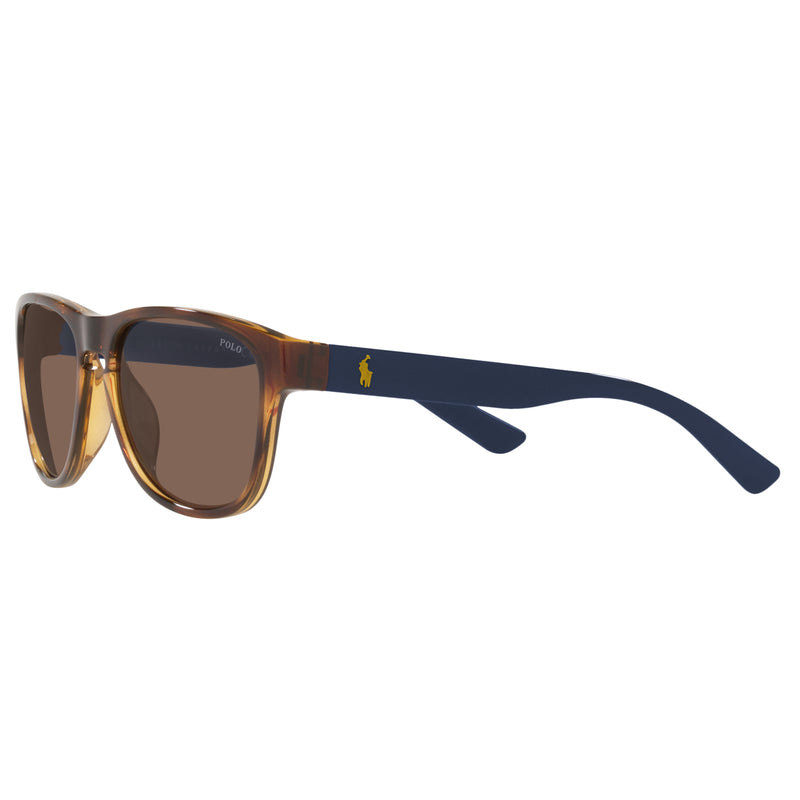 Sunglasses - Polo Ralph Lauren 0PH4180U 500373 56 (POL22) Unisex Shiny Havana Sunglasses